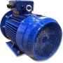 SILNIK ELEKTRYCZNY Z KOŁNIERZEM 15kW 400/690V 1455obr WAŁEK 42mm 3-FAZOWY